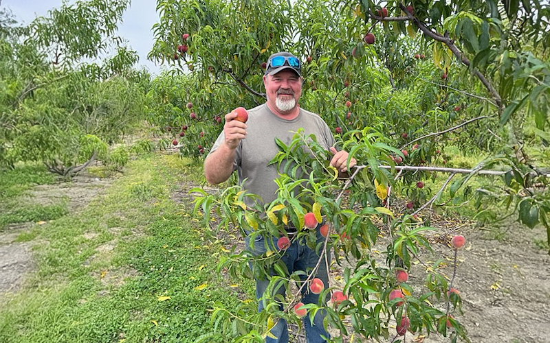 Heilig Orchard