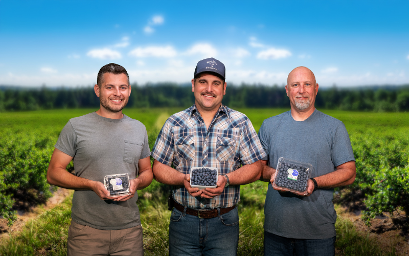 Macrie brothers blueberry farm