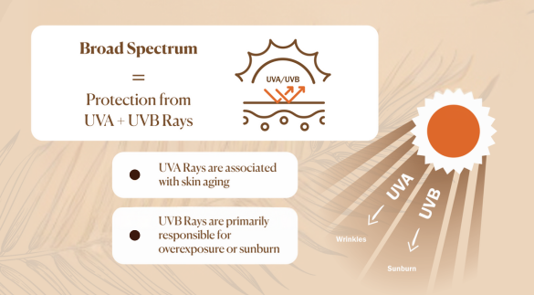 sun care facts