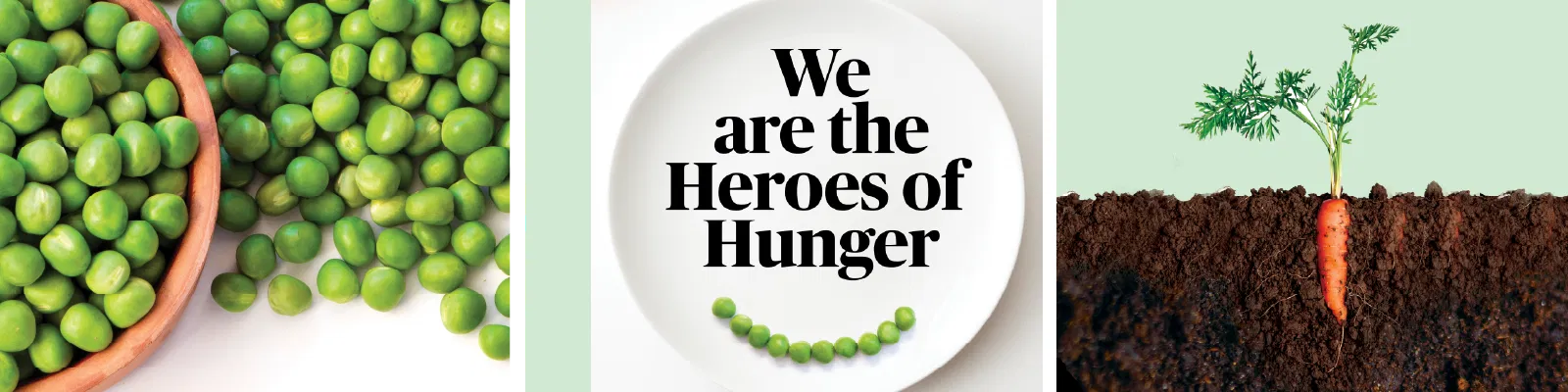 sustainability we are the heros of hunger