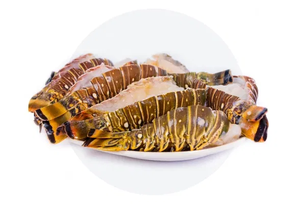 Frozen Lobster Tails