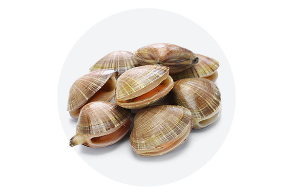 Shellfish