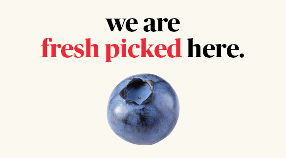 We are fresh picked here.