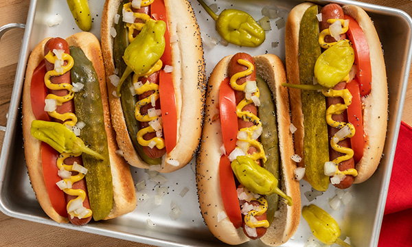 Chicago Dog