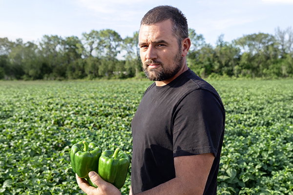 ZRH farms