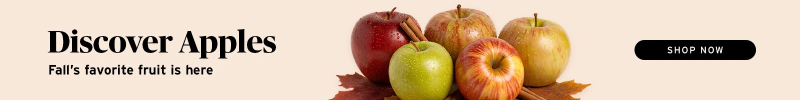 Discover Apples