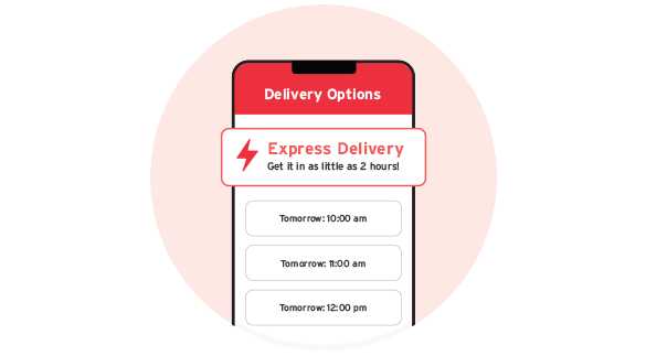 Express Delivery