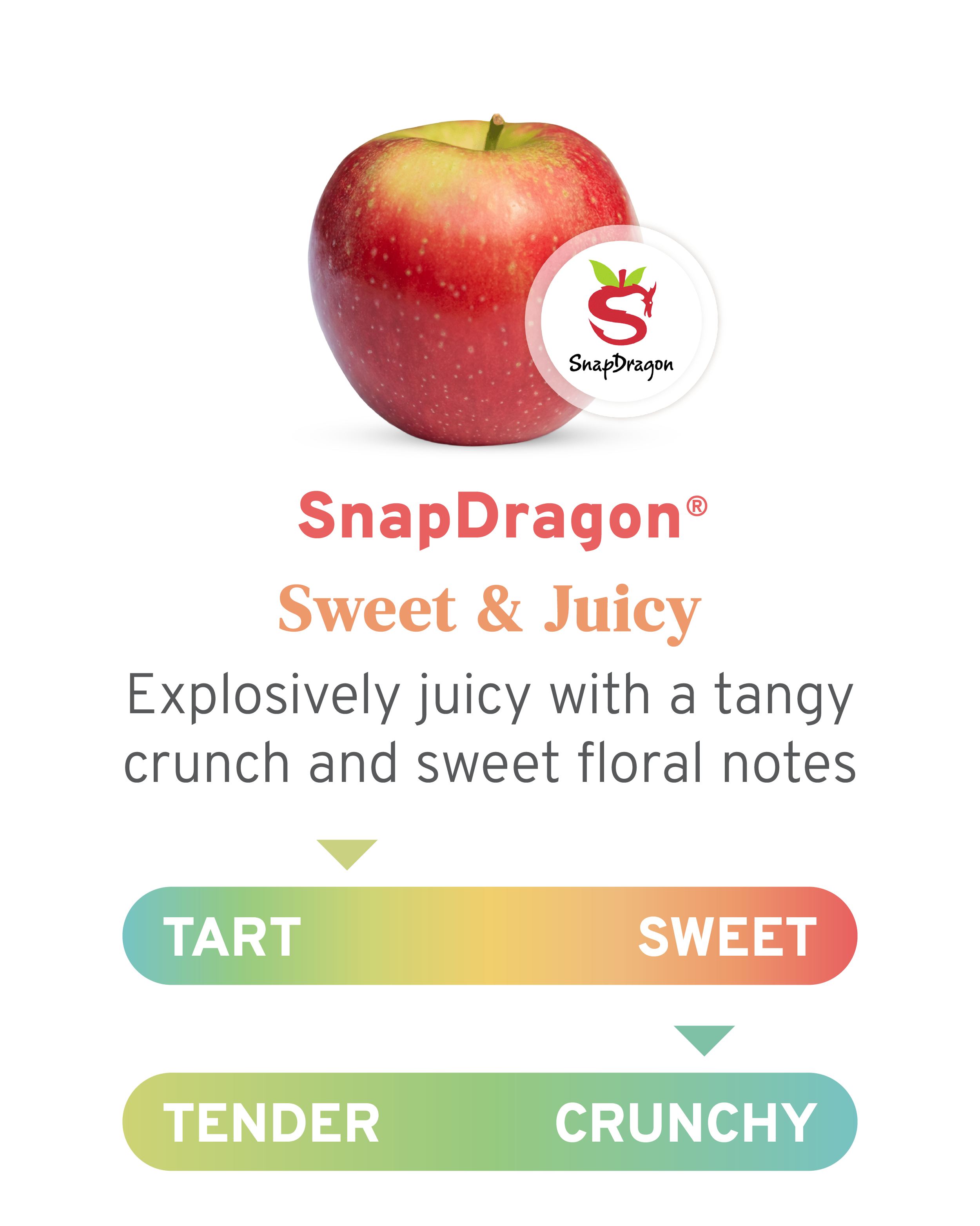 snapdragon