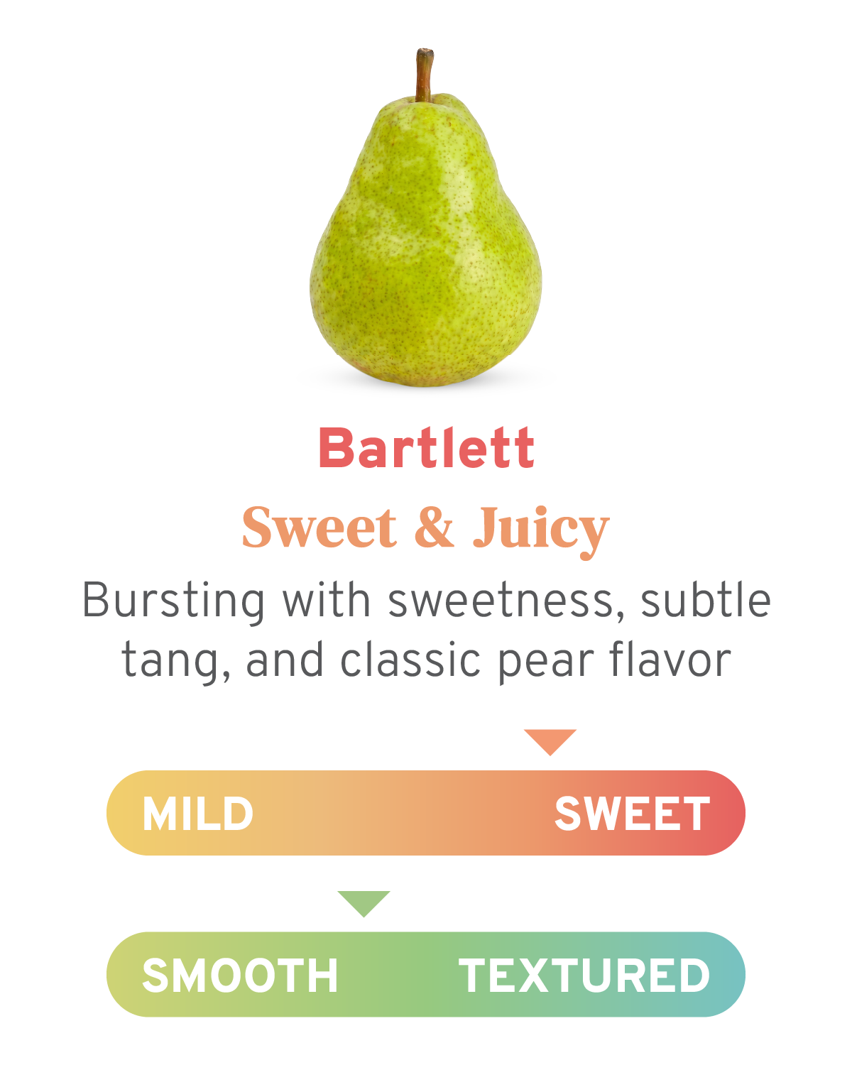 bartlett