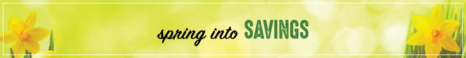 Spring into savings