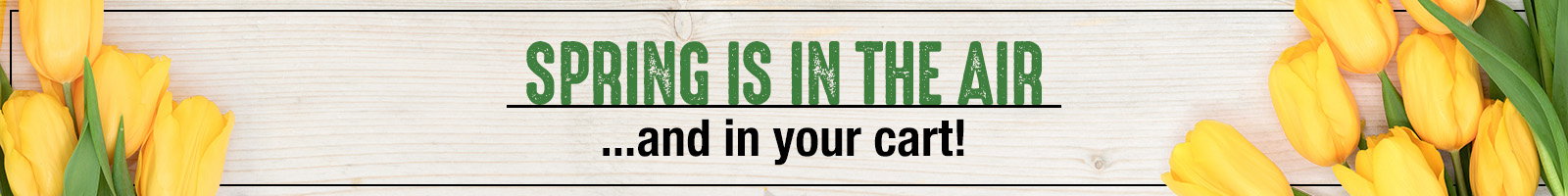 Spring is in the air