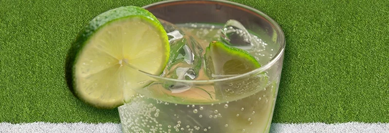 sip like a champion
