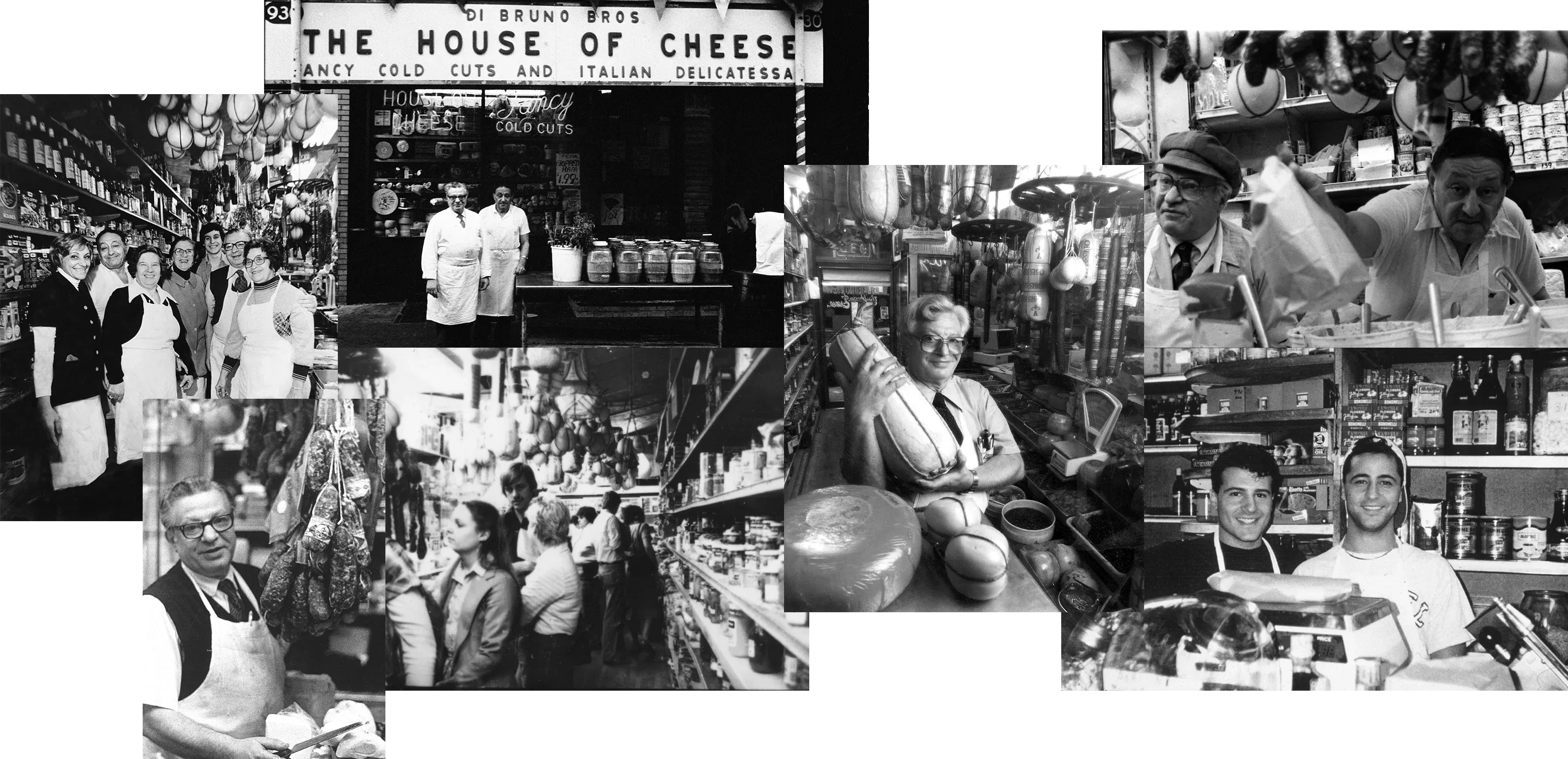 dibruno collage