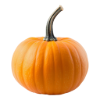 pumpkins