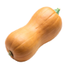 squash