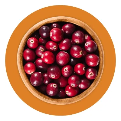  Cranberry